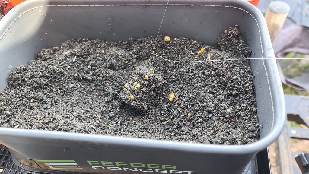 Ловля карася в мае. Где искать пузатого 00008.JPG